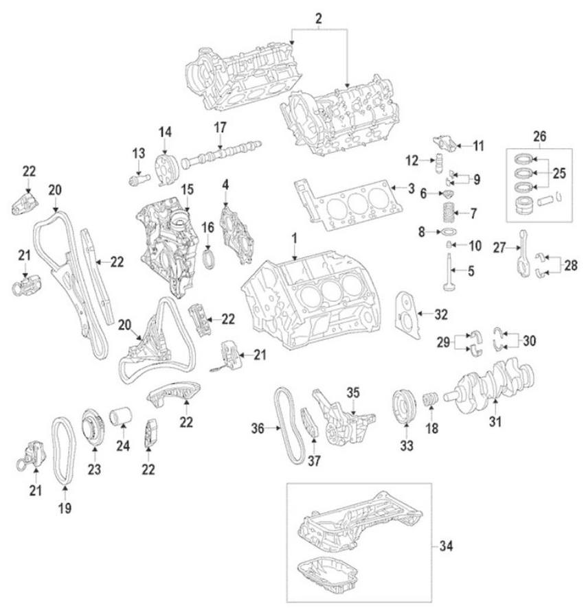 Engine Timing Chain - Driver Left